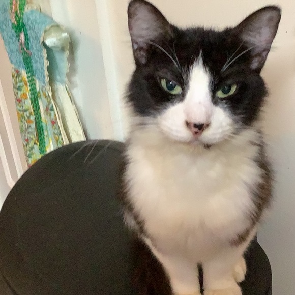 Meet your Posher, Mrs Cason - Picture 1 of 2